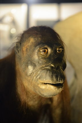 manchester museum 9-2023 8773